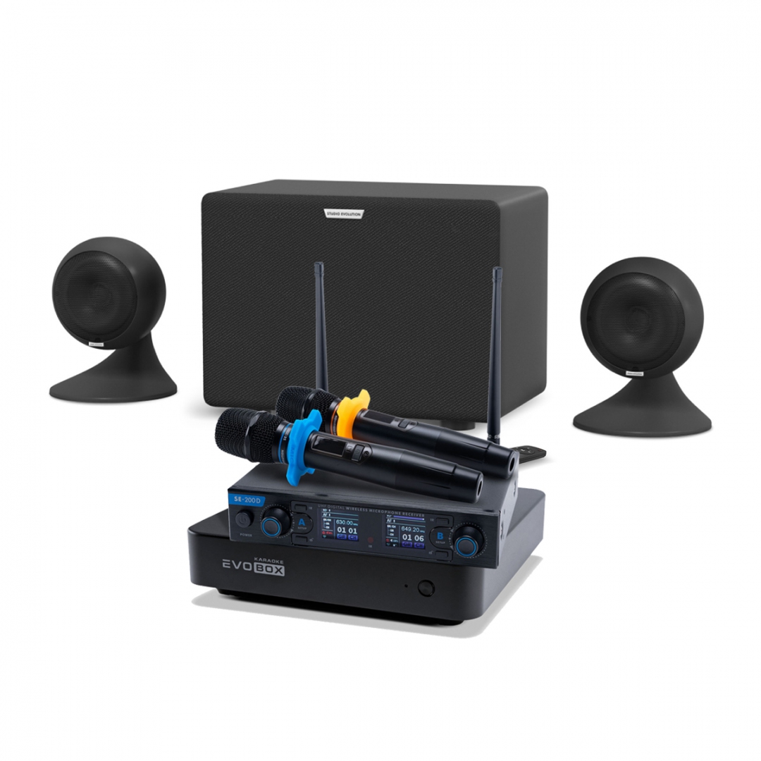 караоке-комплект EVOBOX + EvoSound Sphere 2.1 в Республике Коми