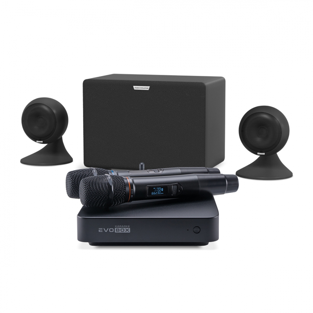 караоке-комплект EVOBOX Plus + EvoSound Sphere 2.1 в Республике Коми