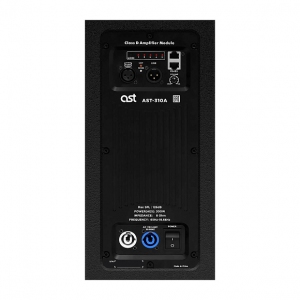 Активная акустическая система AST-310A в Республике Коми