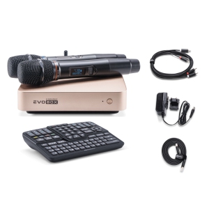 EVOBOX Classic караоке-система для дома в Республике Коми