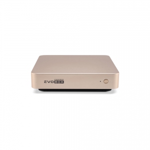 EVOBOX с микрофонами в Республике Коми